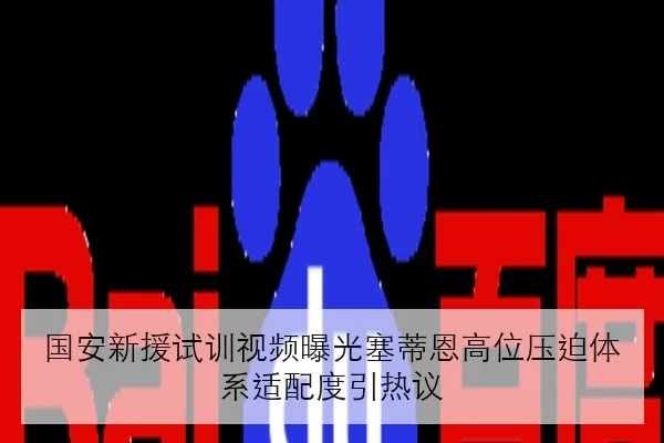 国安新援试训视频曝光塞蒂恩高位压迫体系适配度引热议